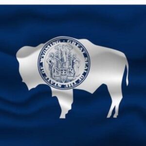 WY State Online Filing Fee